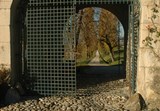 Allée d'accès au chateau